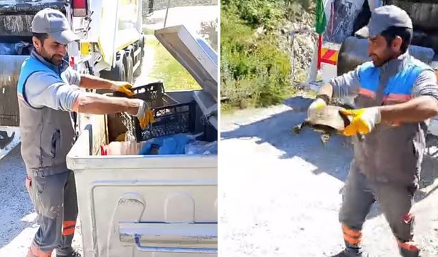 Alanya'da çöpteki kaplumbağa kurtarıldı