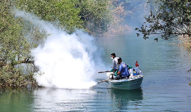 Büyükşehir'den vektörle mücadele çalışmaları
