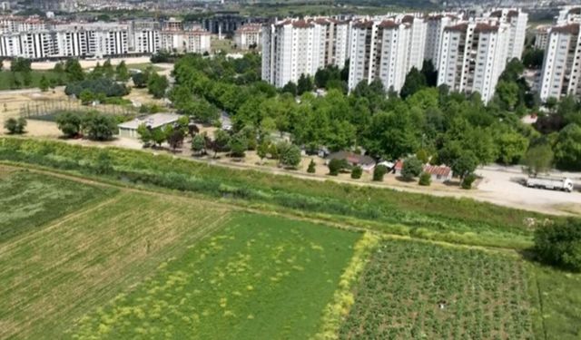 Milyonlarca liralık konutların arasında tarımsal üretim mücadelesi