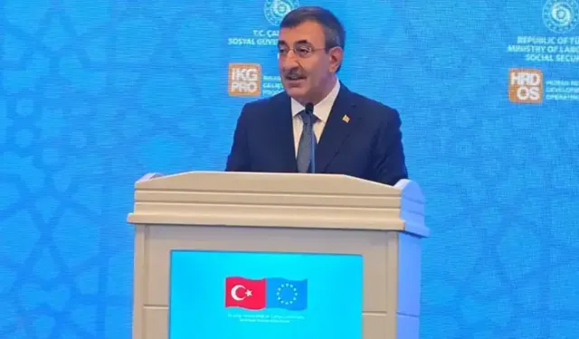 Cevdet Yılmaz: AB, diğer aday ülkeler ile Türkiye'ye aynı kriterleri uygulamalı
