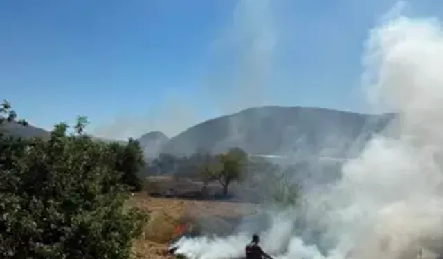 Mersin'de otluk alanda yangın