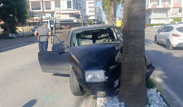 Palmiyeye çarpan Tofaş hurdaya döndü