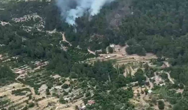 Antalya'da 5 farklı noktada çıkan yangınlar kontrol altına alındı