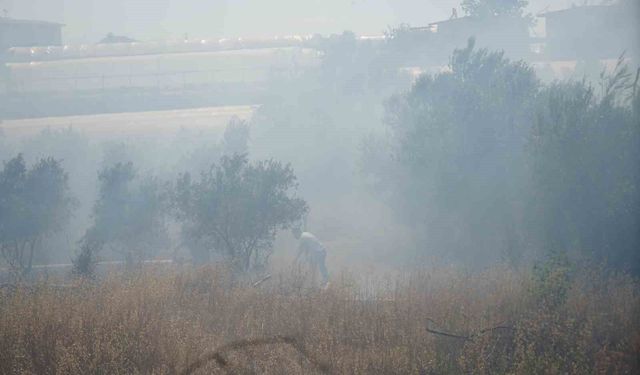 Antalya'da sera ve evleri tehdit eden yangın korkuttu