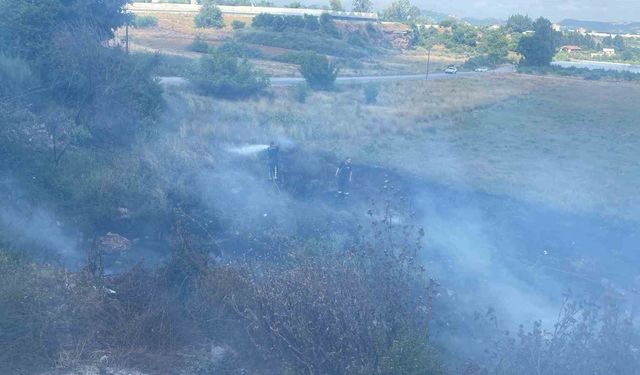 Otluk alanda çıkan yangın seralara sıçramadan söndürüldü