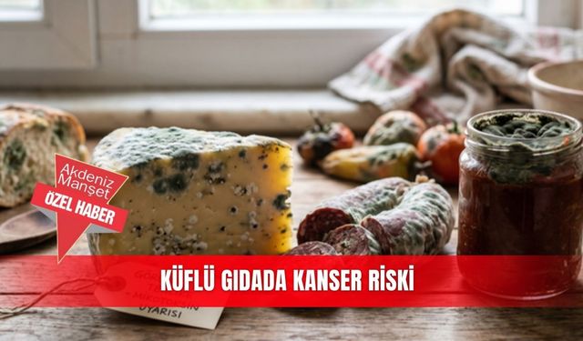 Küflü gıdada kanser riski