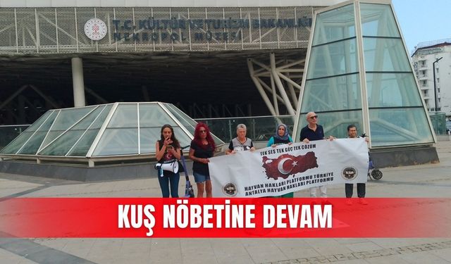 Kuş nöbetine devam