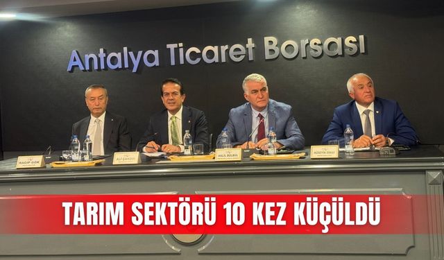 Tarım sektörü 10 kez küçüldü