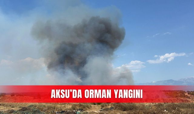 Aksu'da orman yangını! Bölgeye ekipler sevk edildi