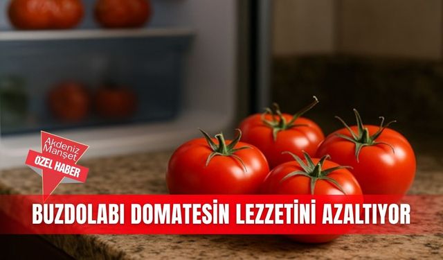 Buzdolabı domatesin lezzetini azaltıyor