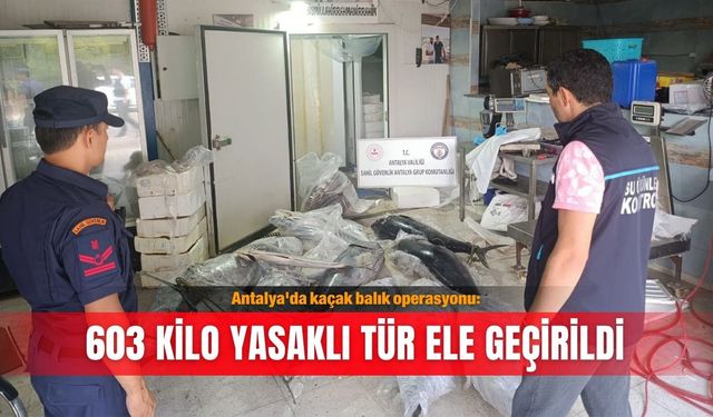 Antalya'da kaçak balık operasyonu: 603 kilo yasaklı tür ele geçirildi