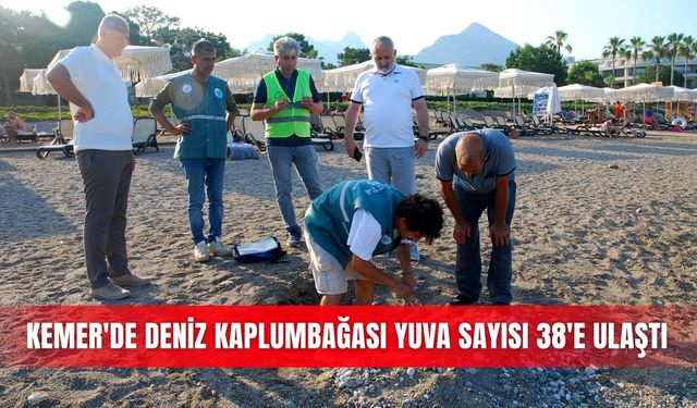 Kemer'de deniz kaplumbağası yuva sayısı 38'e ulaştı