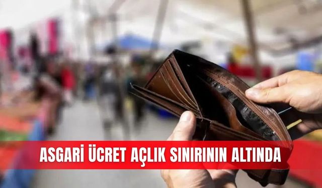 Asgari ücret açlık sınırının altında