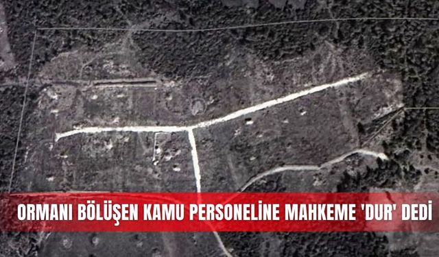Ormanı bölüşen kamu personeline mahkeme 'dur' dedi