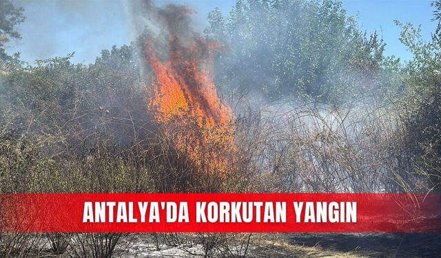 Antalya'da korkutan yangın