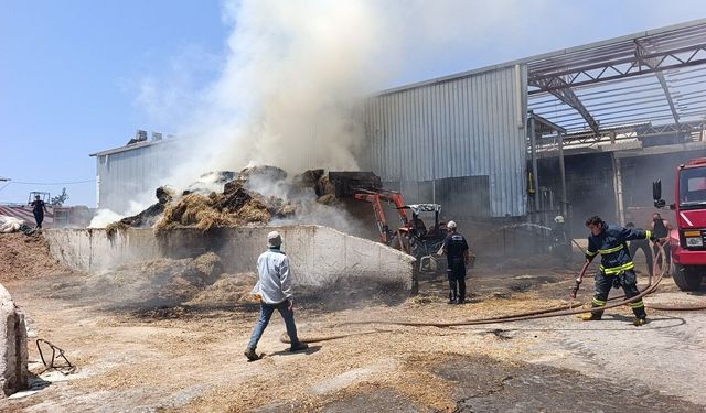 Besihanede çıkan yangında 60 saman balyası kül oldu