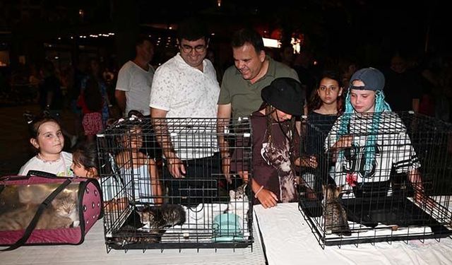 Kemer'de sokak hayvanları yararına konser