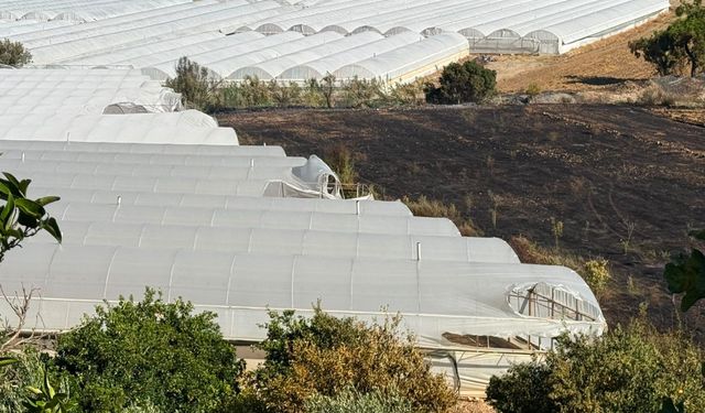 Alevler seraları küle çevirdi
