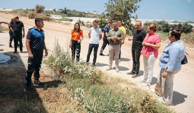 Alanya'da geniş kapsamlı çevre denetimi