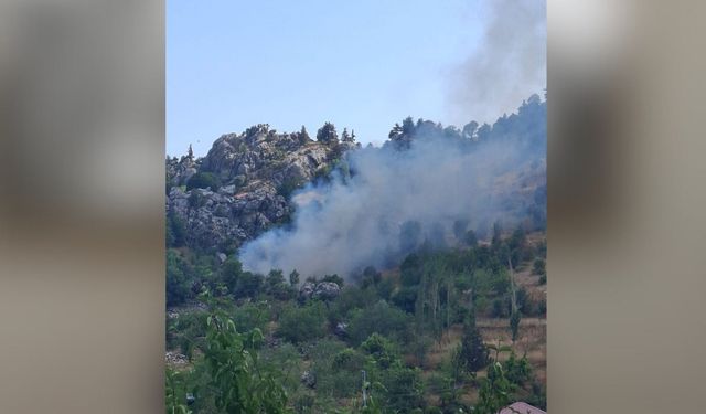 Alanya'da zirai alanda çıkan yangın söndürüldü