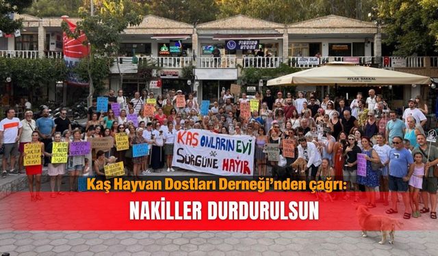 Kaş Hayvan Dostları Derneği’nden çağrı: Nakiller durdurulsun
