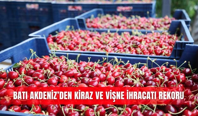 Batı Akdeniz’den kiraz ve vişne ihracatı rekoru