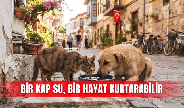Bir kap su, bir hayat kurtarabilir
