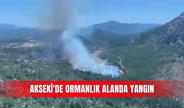 Akseki'de ormanlık alanda yangın