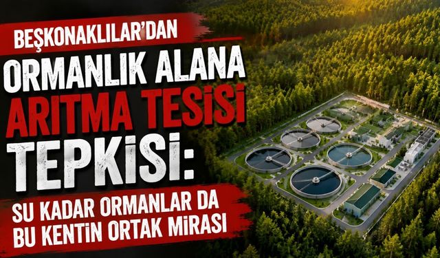 Beşkonaklılar’dan ormanlık alana arıtma tesisi tepkisi: Su kadar ormanlar da bu kentin ortak mirası