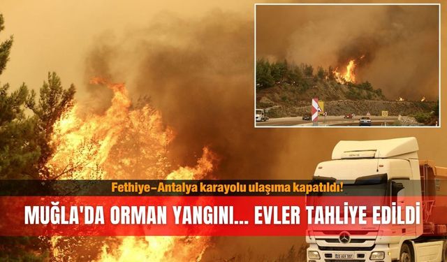 Muğla'da orman yangını! Evler tahliye edildi, iki birbirine bağlayan yol kapatıldı