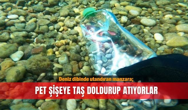 Deniz dibinde utandıran manzara; pet şişeye taş doldurup atıyorlar