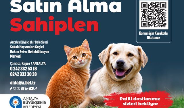 ANTALYA BÜYÜKŞEHİR BELEDİYE BŞK. SOKAK HAYVANLARI GEÇİCİ BAKIM EVİ VE REHAB.MER
