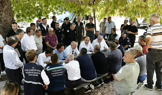 Orman yangınından etkilenen 5 ilde hasar tespit çalışmaları tamamlandı