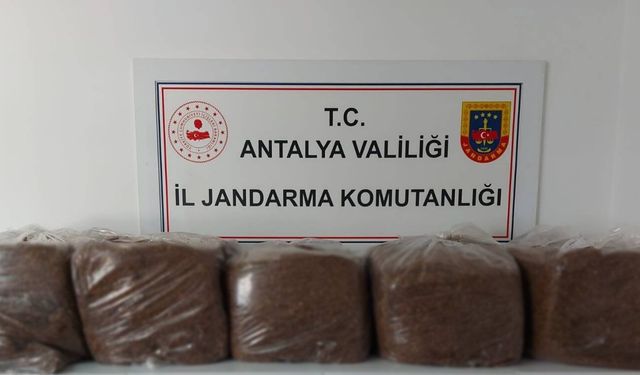 Alanya ve Demre'de 285 kilo kaçak tütün ele geçirildi