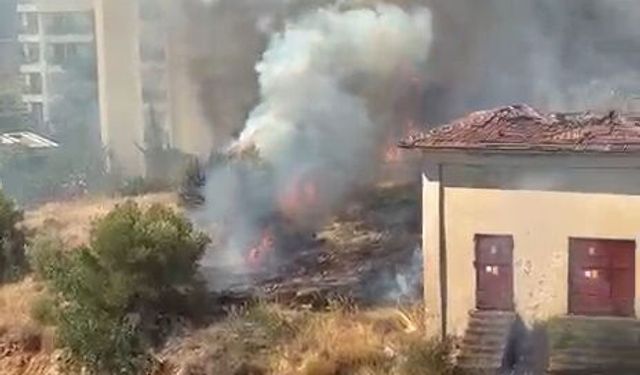 Manavgat'ta elektrik trafosu yangına neden oldu
