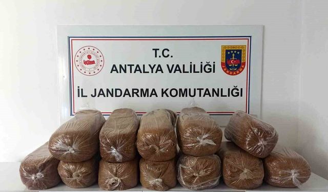 Antalya'da üç ilçede kaçak tütün operasyonu