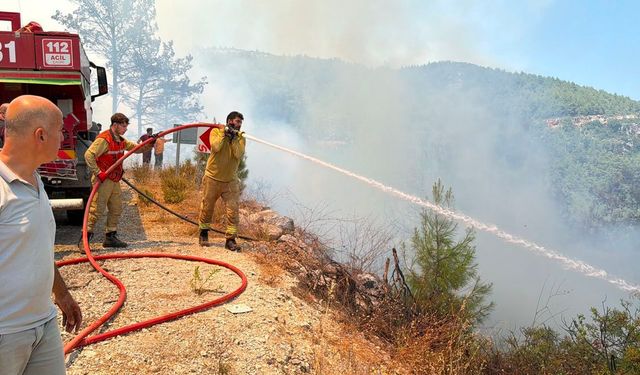 Antalya- Alanya'daki orman yangını kontrol altına alındı; 5 dönüm orman zarar gördü