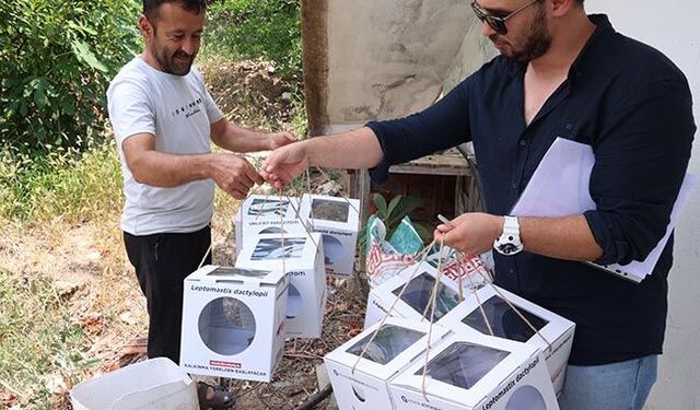Üreticiye faydalı böcek desteği