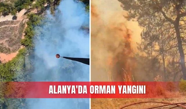 Alanya'da orman yangını