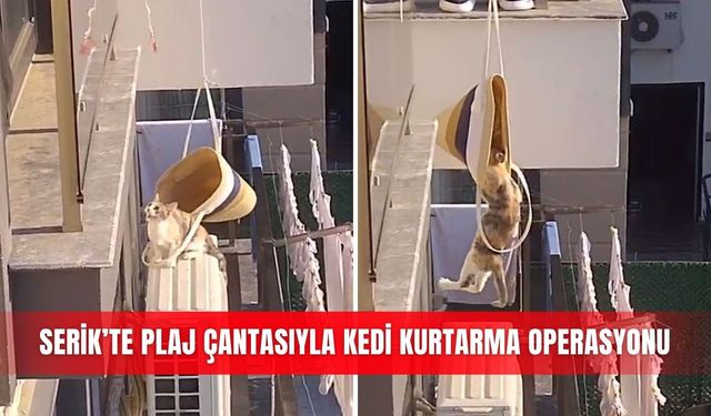Serik’te plaj çantasıyla kedi kurtarma operasyonu