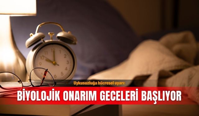 Uykusuzluğa hücresel uyarı: Biyolojik onarım geceleri başlıyor