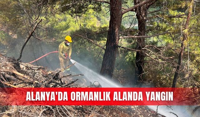 Alanya'da ormanlık alanda yangın