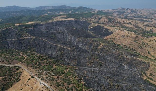 Yangının bilançosu gün ağarınca ortaya çıktı