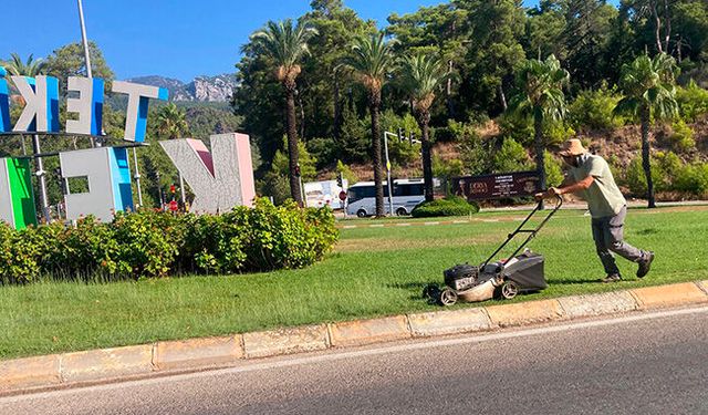 Kemer'de çimler biçiliyor