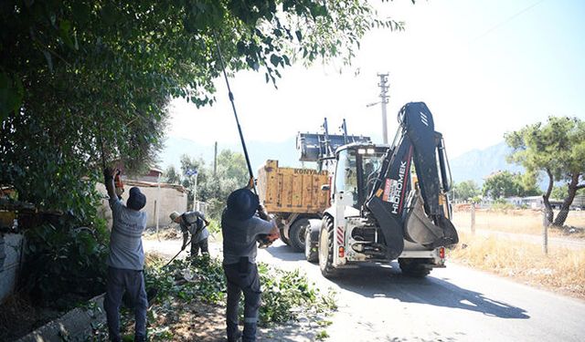 Konyaaltı'nda yangının önüne budamayla geçiliyor