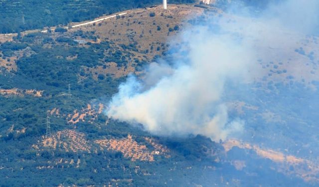 Marmara Adası’nda orman yangını başladı