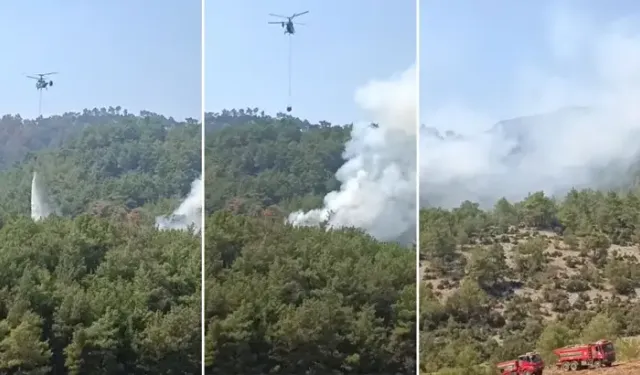 Kozan'da orman yangını