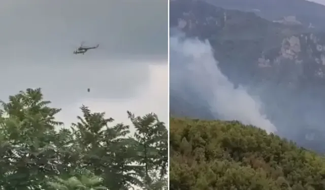 Hatay'da orman yangını