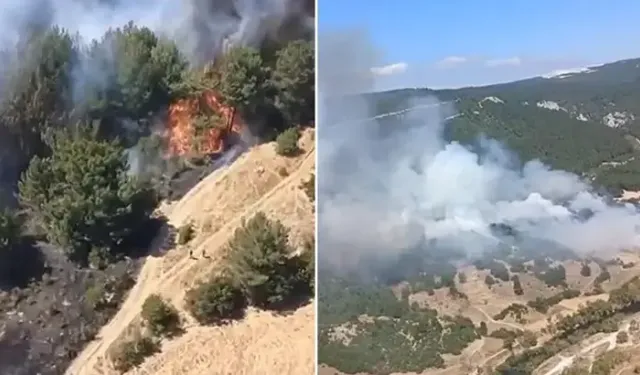 Balıkesir'de orman yangını