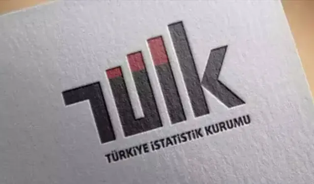 TÜİK mali aracı kuruluşlar sektöründe faaliyet rakamlarını açıkladı